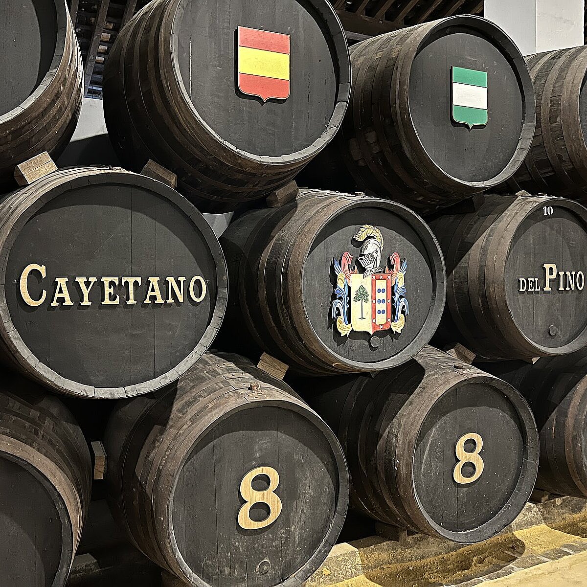 Cayetano del Pino