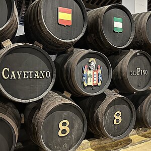 Cayetano del Pino