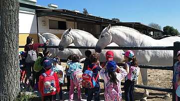 Niños acariciando los caballos