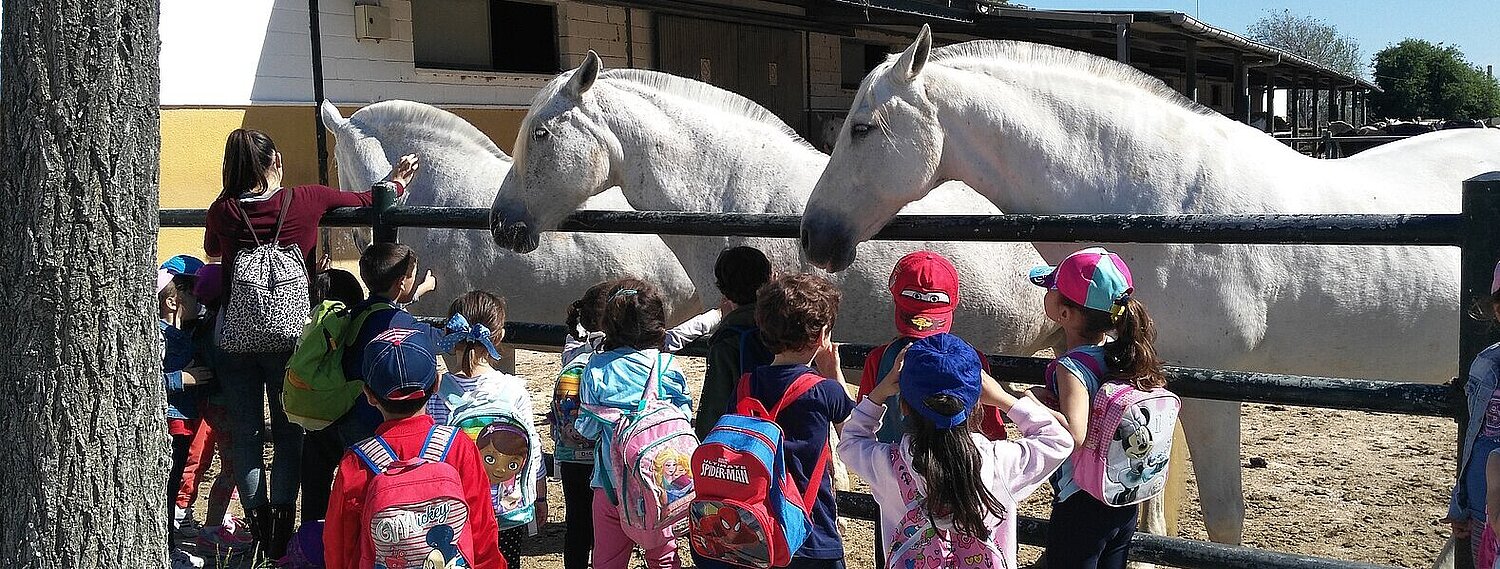 Niños acariciando los caballos