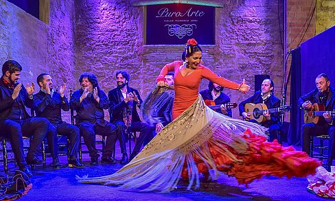 Espectáculos y tablaos flamencos