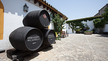 Bodegas Rey Fernando de Castilla