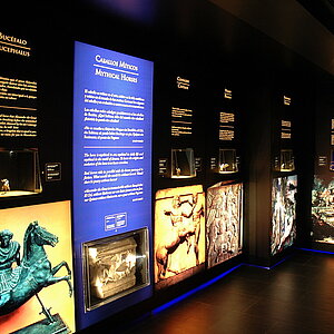 Museo Arte Ecuestre