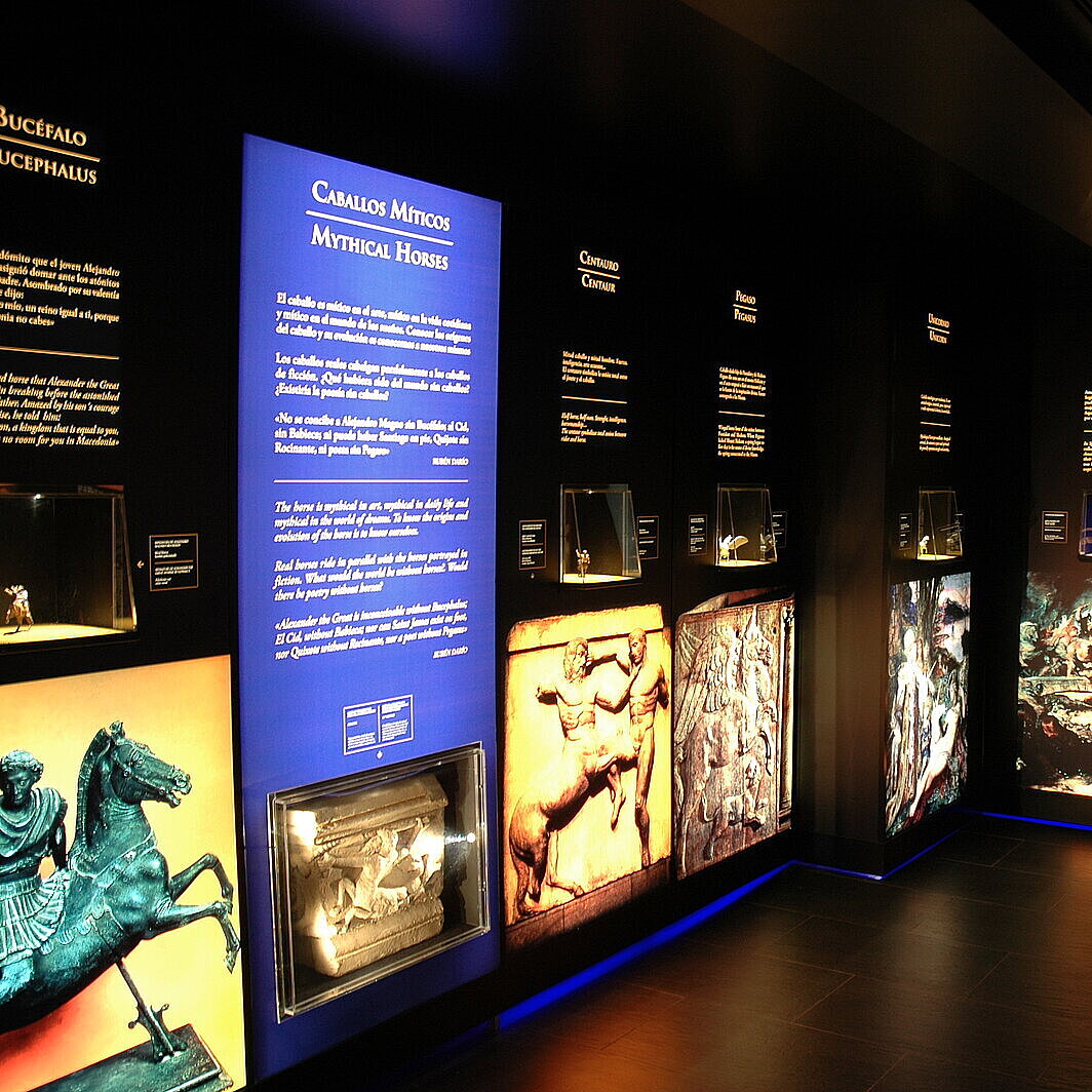 Museo Arte Ecuestre