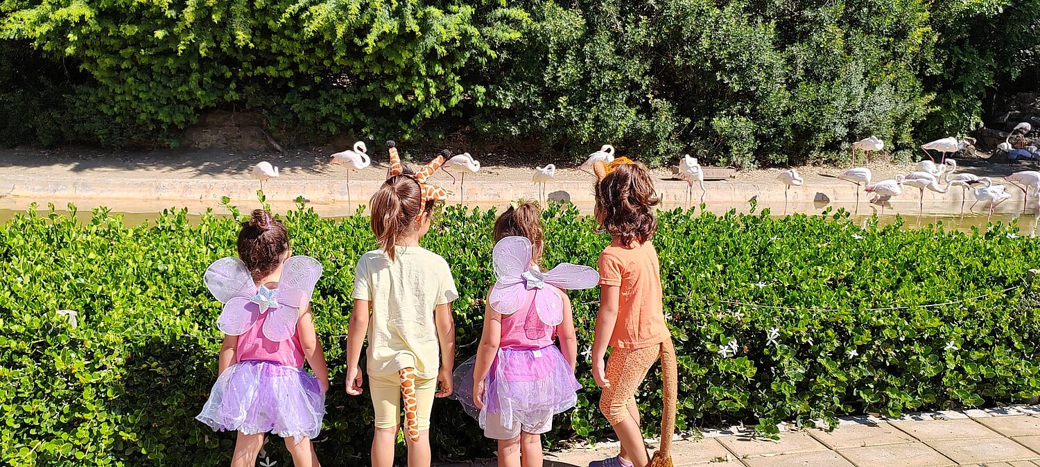 Niños en el zoo