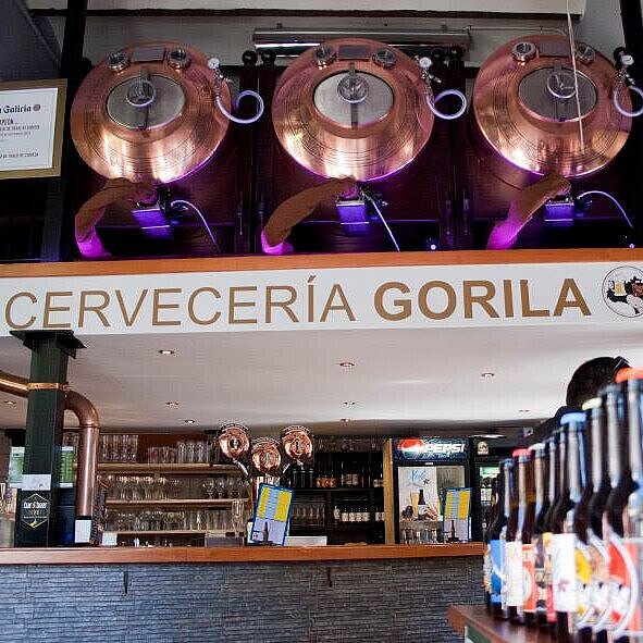 [Translate to Español:] Gorila