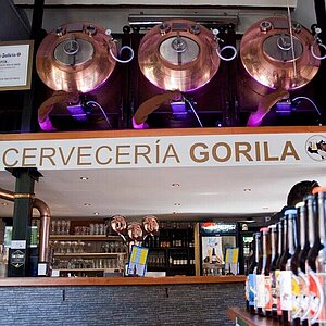 [Translate to Español:] Gorila