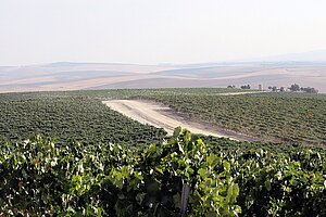 Jerez Rural 