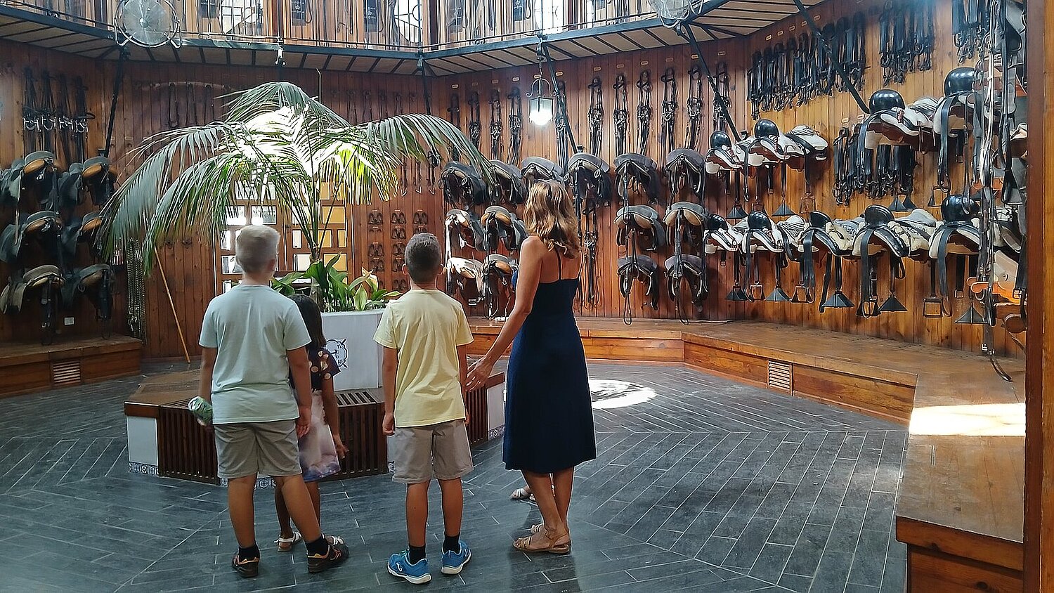 Visitando el guadarnés