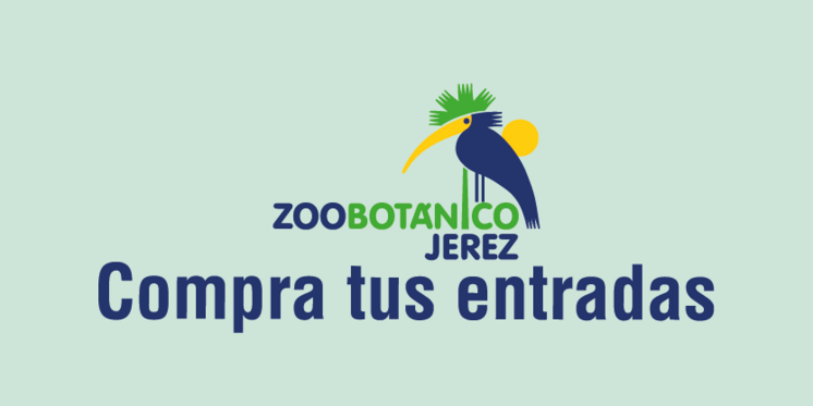 compra online zoo
