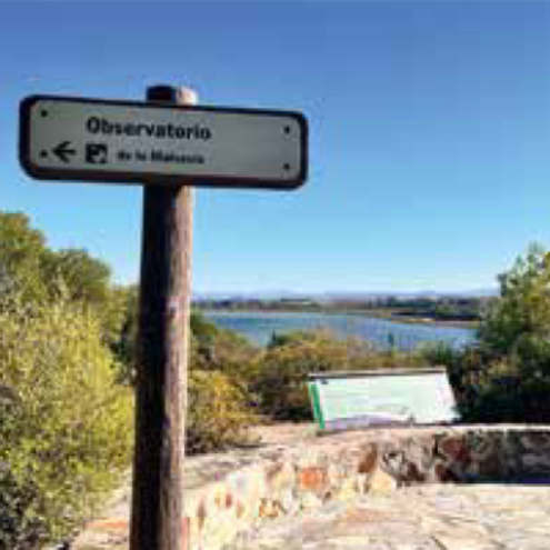 El recorrido