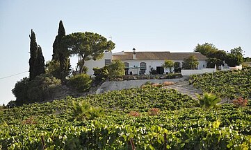 Alojamientos rurales Jerez
