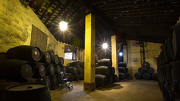Bodegas Rey Fernando de Castilla