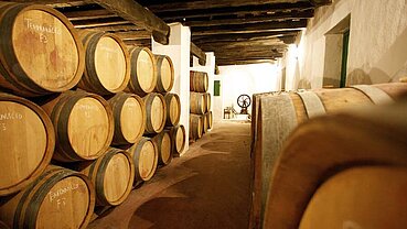 Bodegas Cortijo de Jara