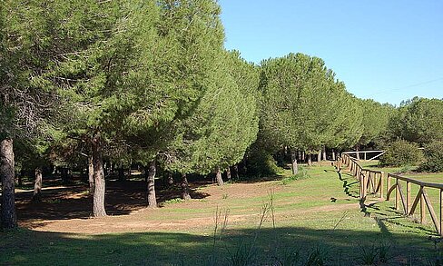 parques periurbanos