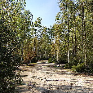 Parque Forestal de Las Aguilillas