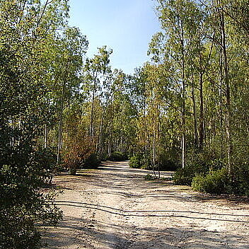 Parque Forestal de Las Aguilillas