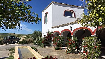 Bodegas y Casa Rural Santa Petronila