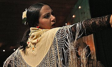 flamenco