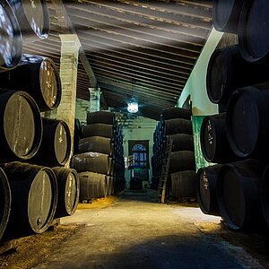 Bodegas Dios Baco Jerez