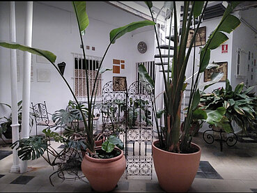 Apartamentos Casa Rosaleda