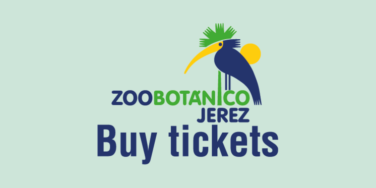 buy tickets online