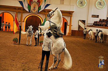 Real Escuela Anadaluza del Arte Ecuestre