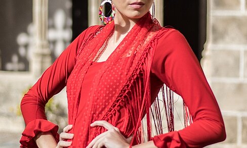 Artesanía flamenca