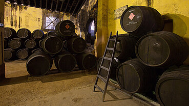 Bodegas Rey Fernando de Castilla