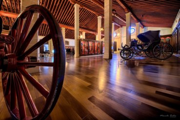 Museo del Arte Ecuestre