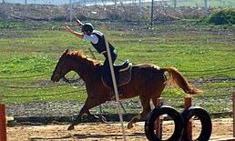 Equitación Jerez
