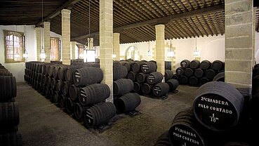 Bodegas Tradicion