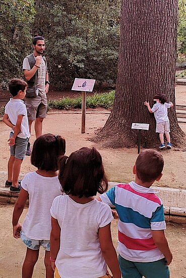 abrazando árbol