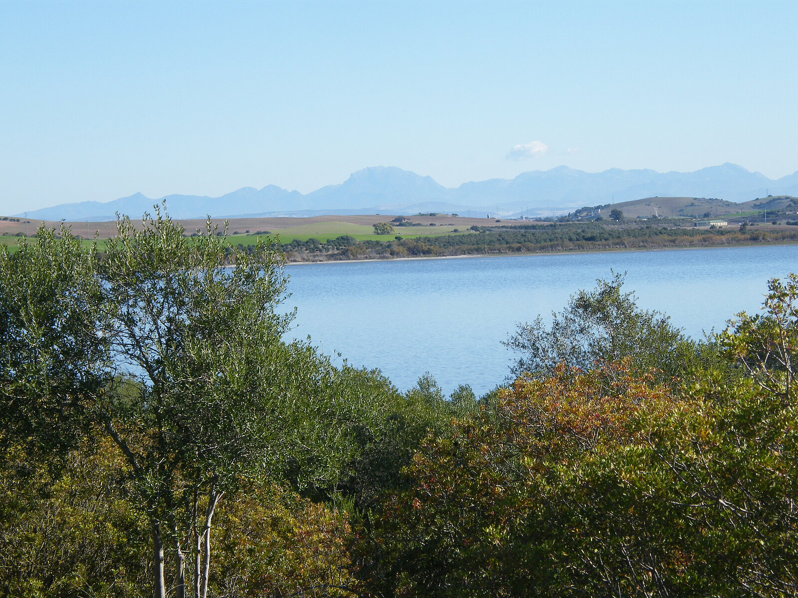 laguna medina