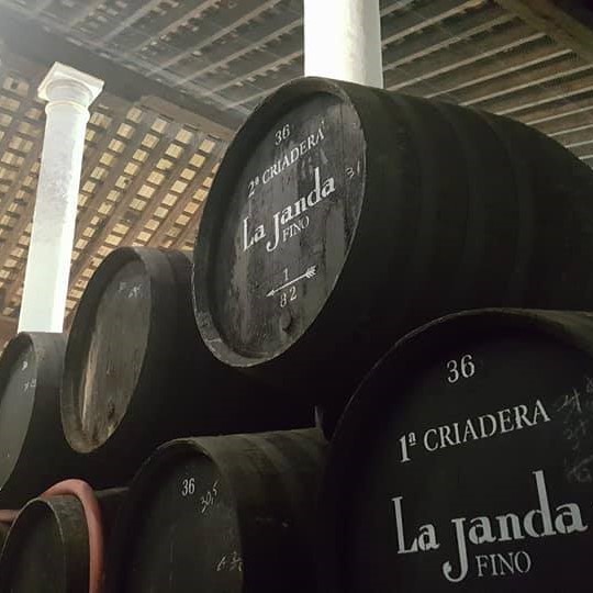 Bodegas Álvaro Domecq Jerez