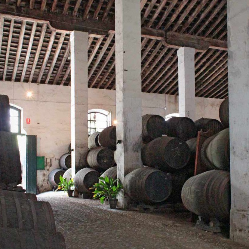 Bodegas Faustino González