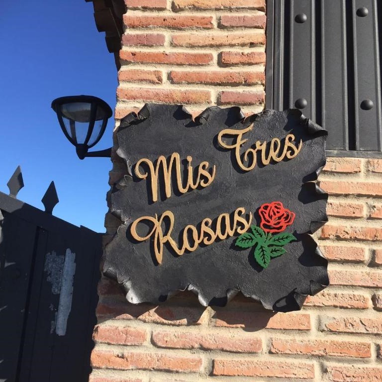 [Translate to Español:] mis tres rosas