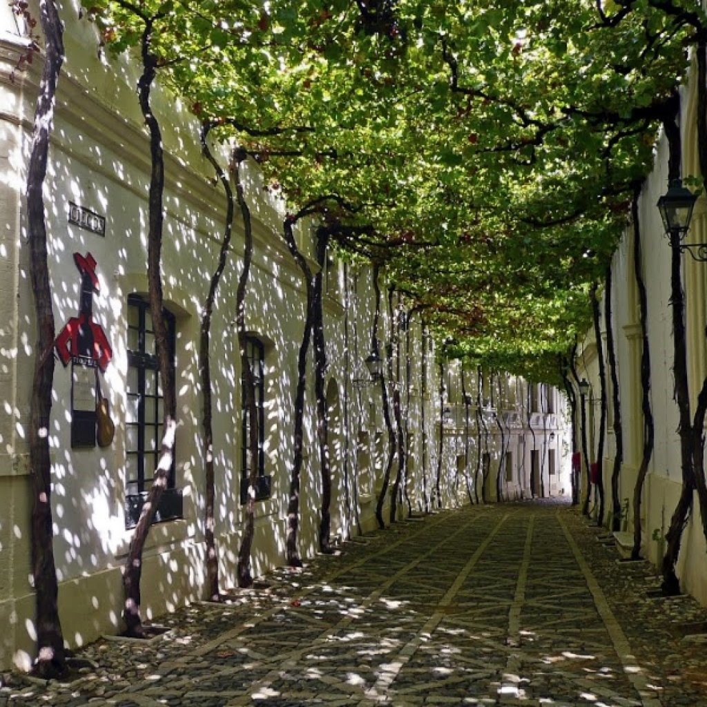 [Translate to Español:] Bodegas Tío Pepe Jerez