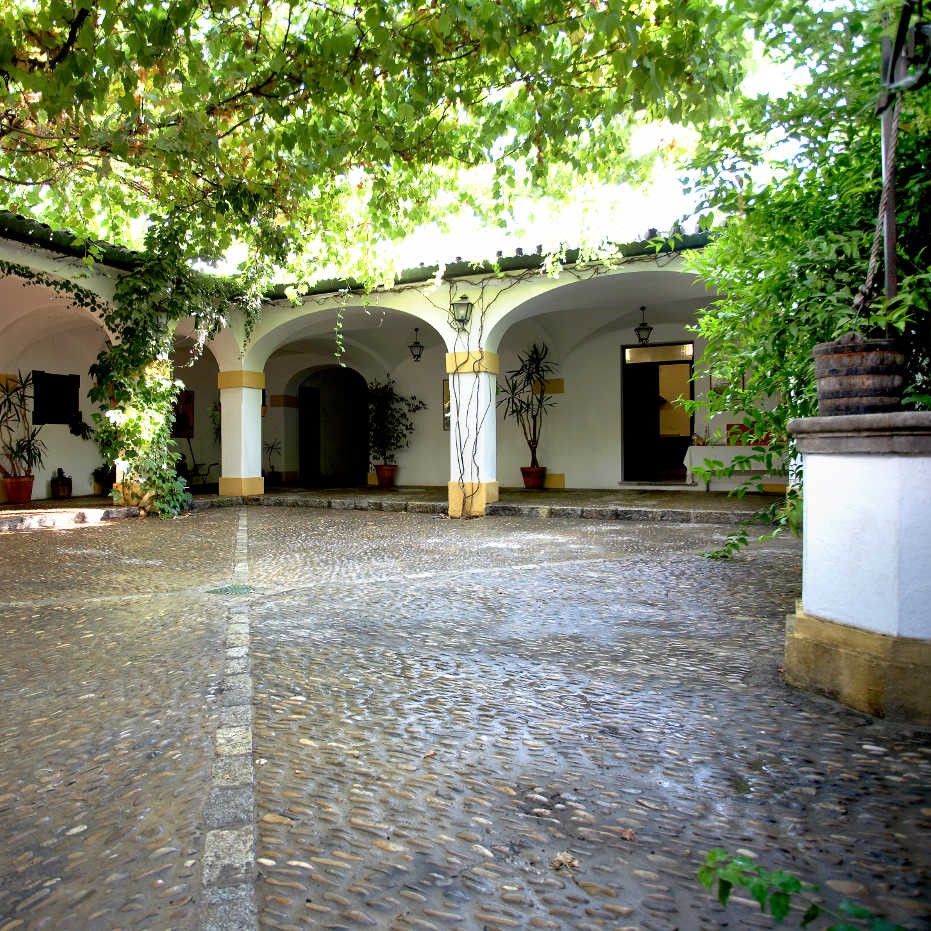 [Translate to Español:] Bodegas Tradición Jerez