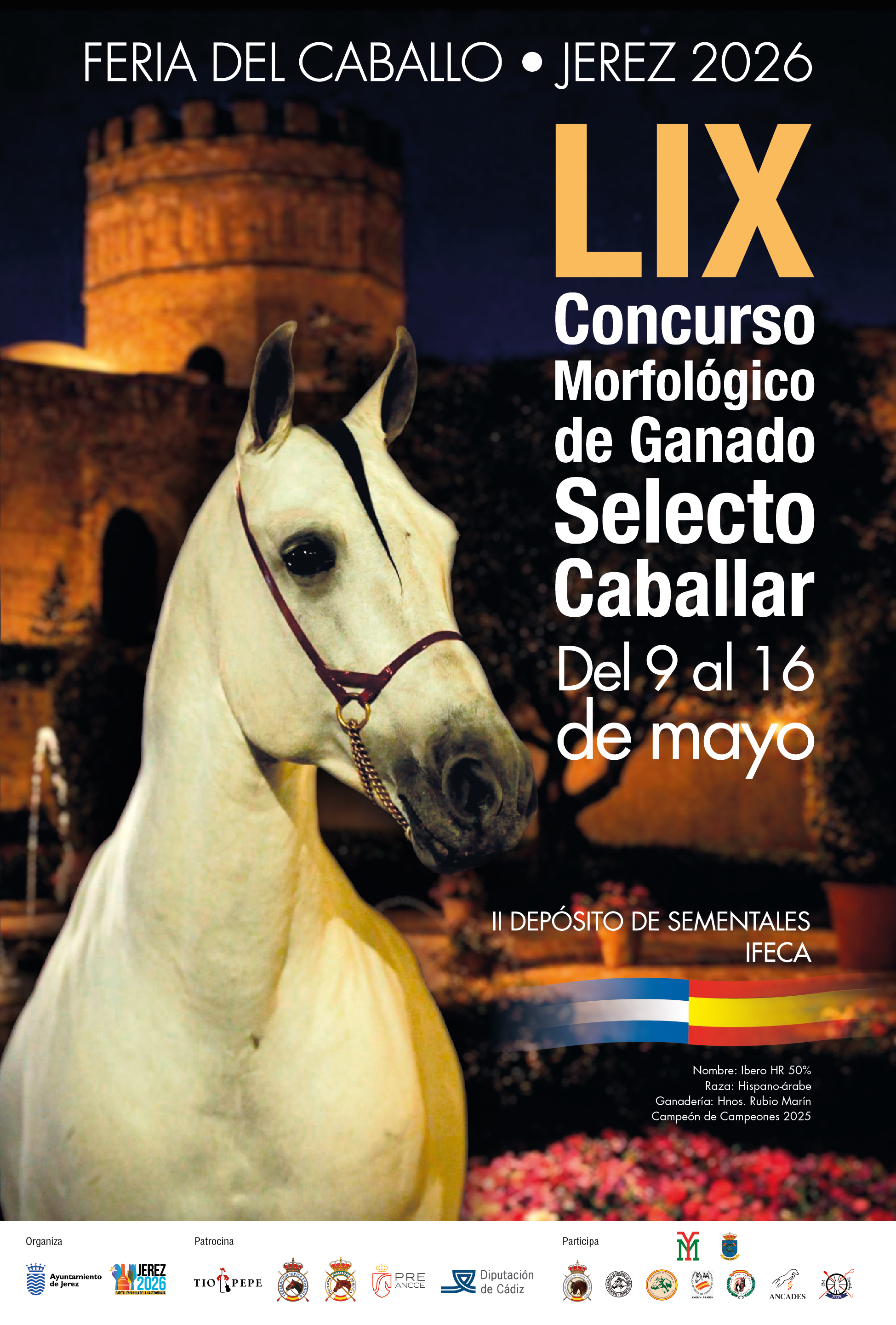 Concurso Morfológico Ganado Selecto Caballar