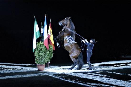 Gran Gala Ecuestre