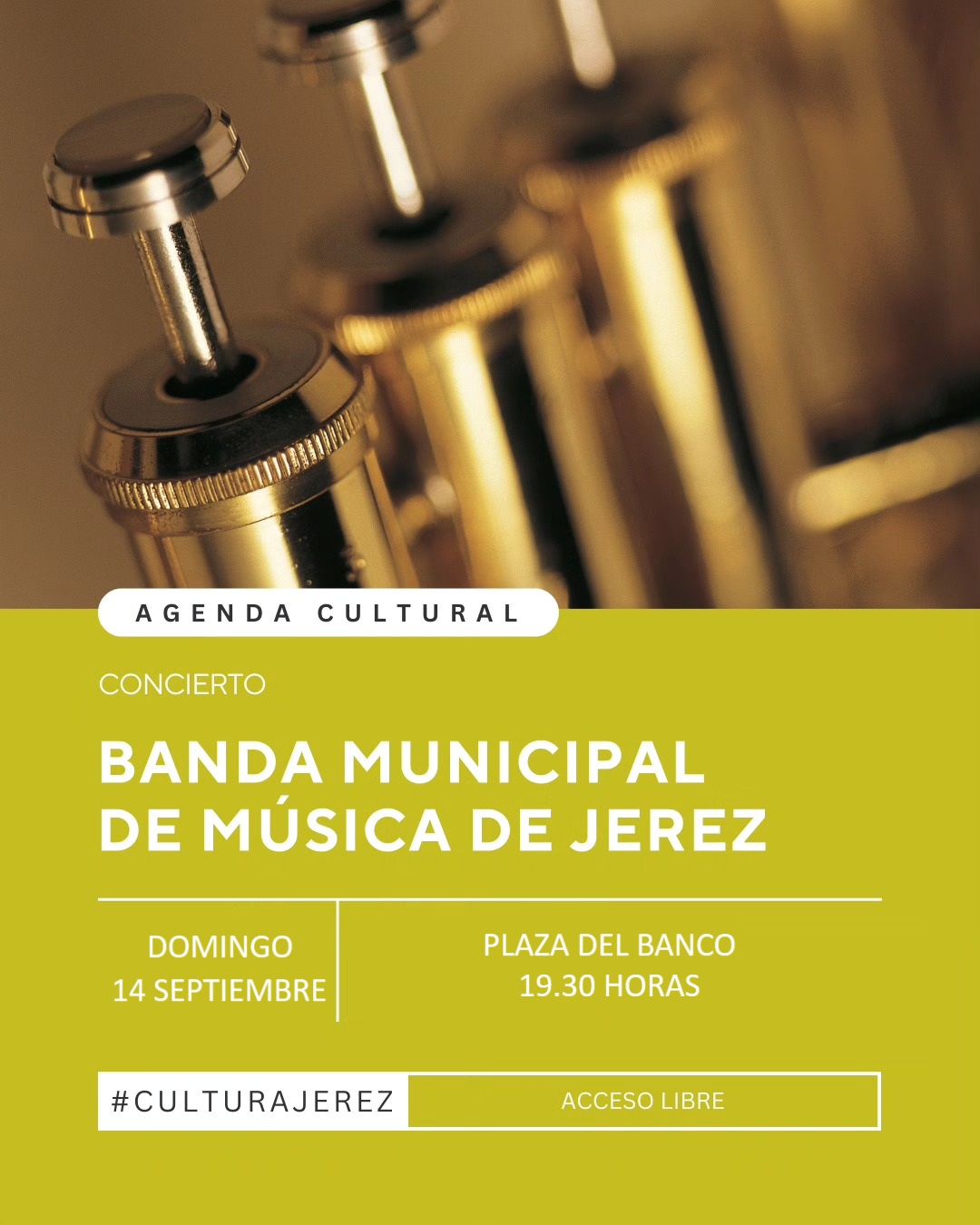 concierto banda 14