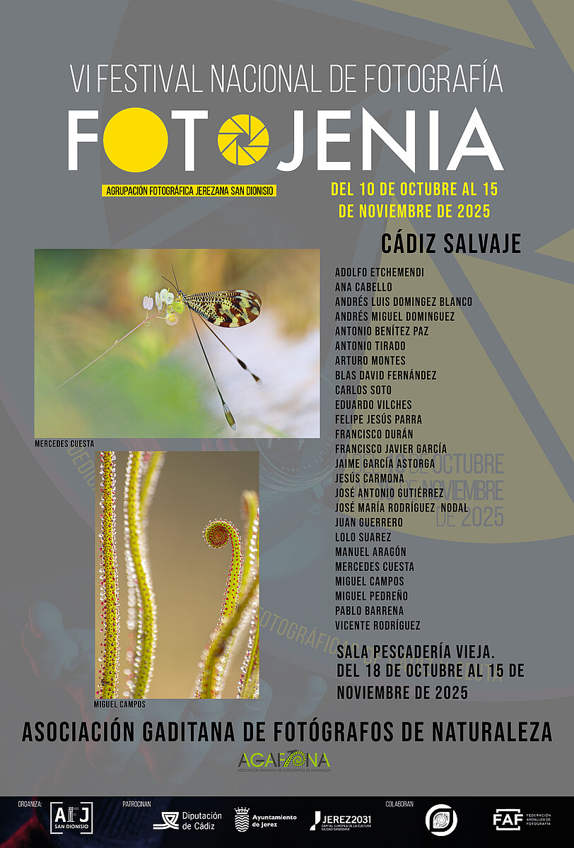 Pescadería 1