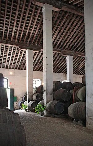 Bodegas Faustino González