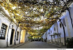 Bodegas Tío Pepe
