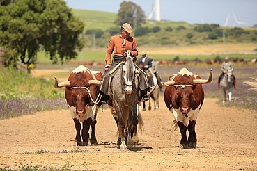 A Campo Abierto