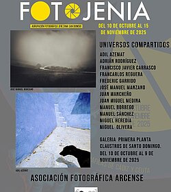 Universos compartidos