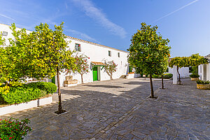 Cortijo de Jara