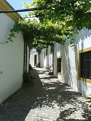 Bodega Rey Fernando de Castilla