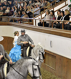 EEspecáculo 'Como bailan los caballos andaluces'